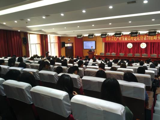 淮南文化產業發展高峰論壇暨第70屆峰火文創論壇