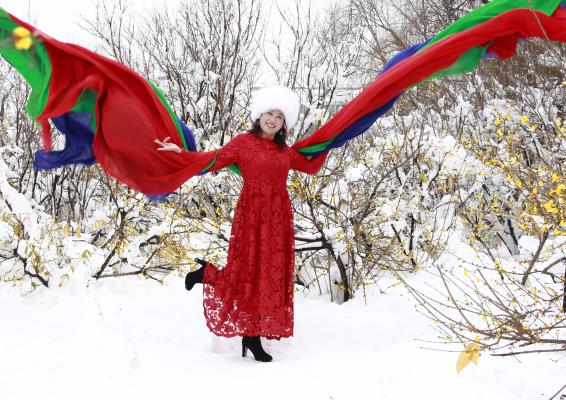 雪花飛舞