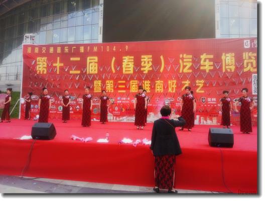 觀淮南十二屆汽博會