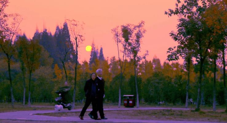 老來伴《夕陽漫步》