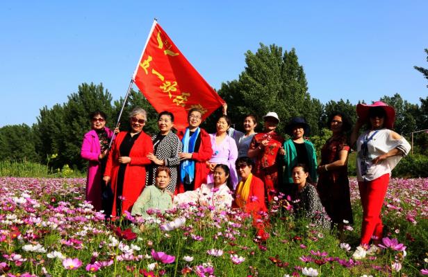 淮南洛河鄰水居（洛神谷）生態園《格桑花開盛開》游人云集