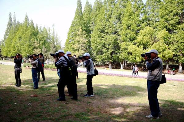 圖片網龍湖活動花絮