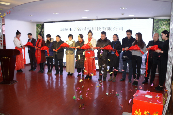 淮南海鯨王子盛大開業(yè)