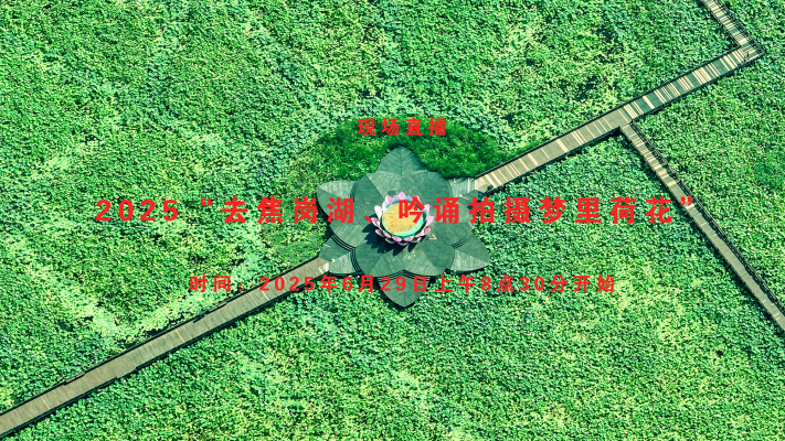 2025“去焦崗湖吟誦拍攝夢里荷花”活動直播回放