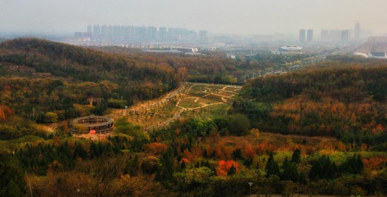 舜耕山上秋意濃