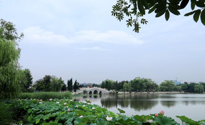 龍湖晨夏