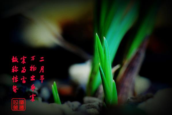 驚蟄