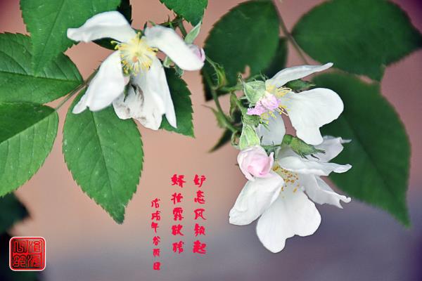 谷雨