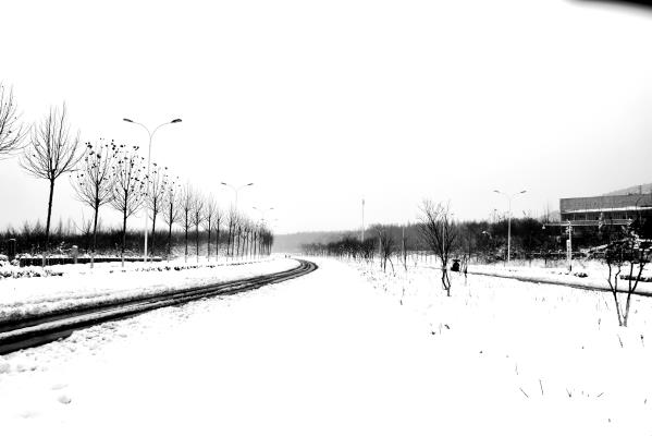 想念一場雪