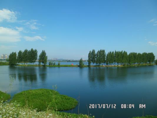 淮西湖現狀圖片集錦