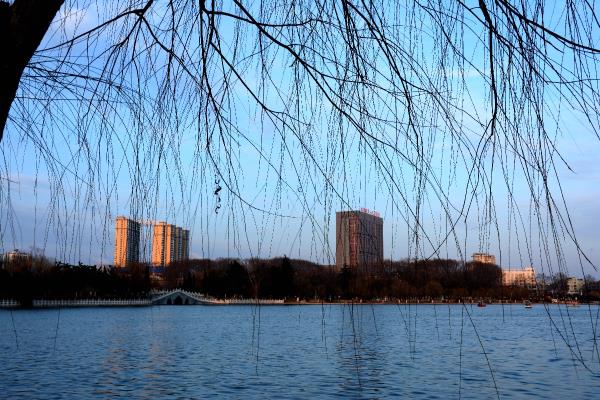 晚霞下的龍湖公園