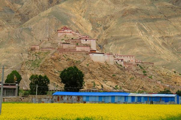 美麗神奇的西藏