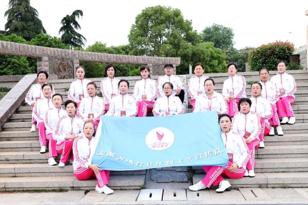 鳳臺法制文藝宣傳隊舉行展演活動