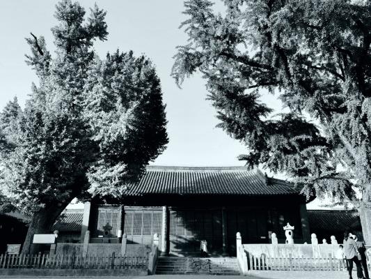 鏡頭里的壽州孔廟