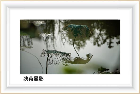 汪少龍書法攝影作品欣賞