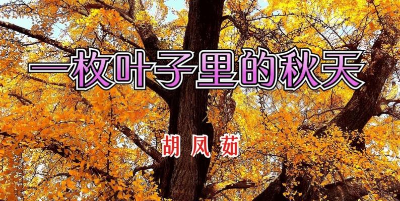 胡鳳茹/《一枚葉子里的秋天》