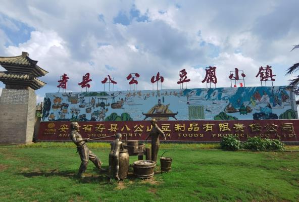 參加“我為淮南寫首詩”頒獎典禮省外獲獎詩人及應(yīng)邀嘉賓今日抵淮