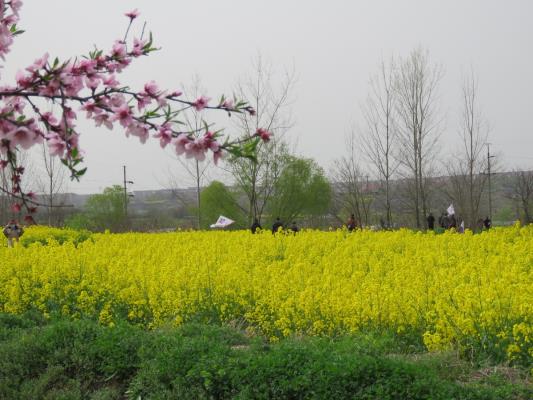 淮南圖片網(wǎng)謝區(qū)分站戶外踏青紀(jì)實(shí)