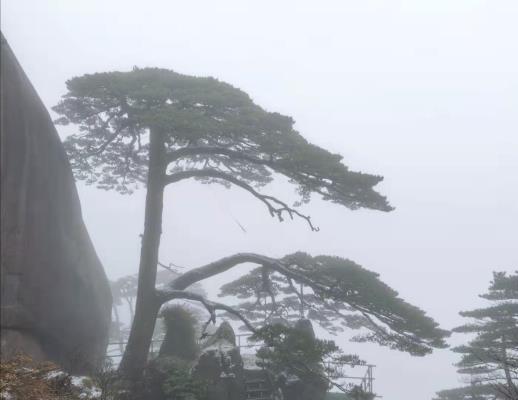 李維煥||冬日黃山（古詩新韻）