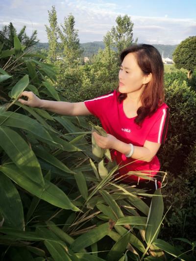 單車：懷念端午粽葉香