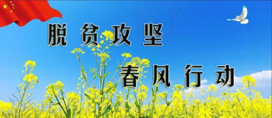 王運超長篇小說《扶貧隊長》節選（之6）