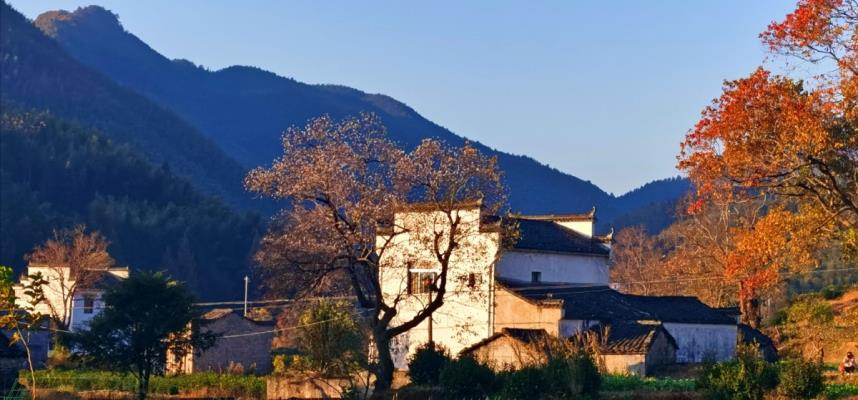 李維煥《七絕?盧村秋色》