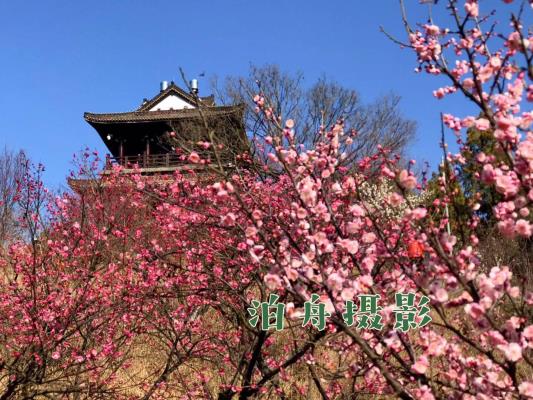 王勝利《長(zhǎng)相思?梅園探春》