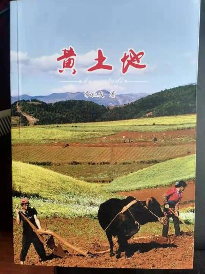 不用揚鞭自奮蹄  -----------記南陽農民作家章社友