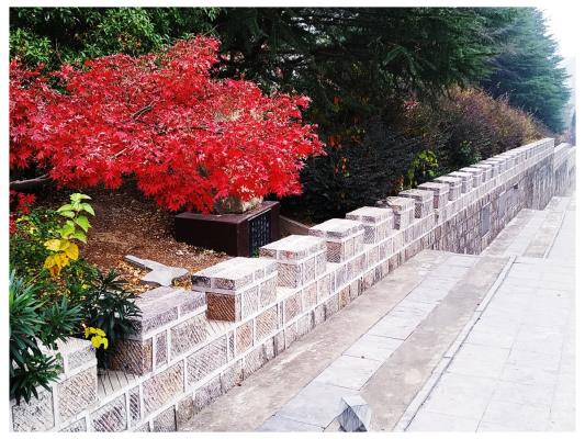 上窯森林公園隨拍