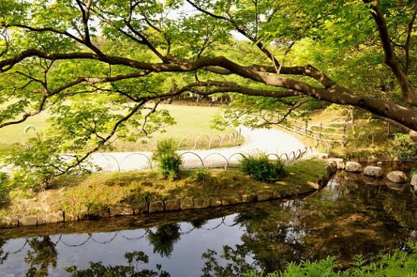 步韻和91歲壽翁陳開廉先生《閑吟》