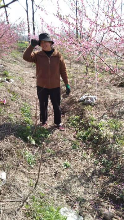 逆境勵(lì)志  奮斗不止