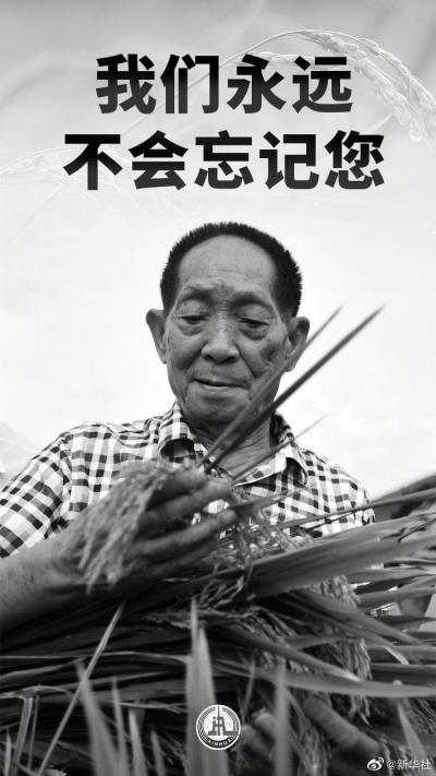 慟挽“雜交水稻之父”袁隆平