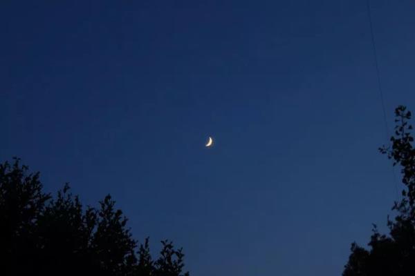 漁家傲 . 無眠