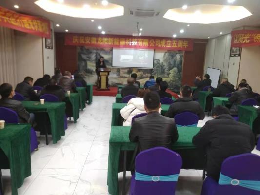 安徽龍陽新能源公司舉辦公司成立五周年座談會(huì)