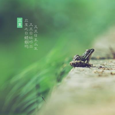 立夏感懷——感謝詩友唱和