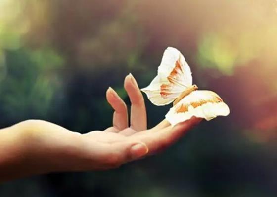 詩(shī)友唱和淮上老驥《遠(yuǎn)行者》