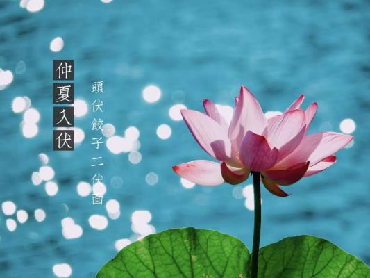 入伏——感謝詩友唱和