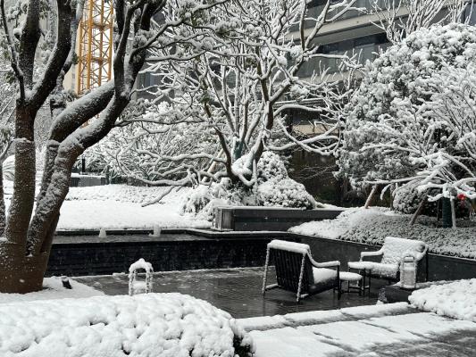 詩(shī)友唱和：卜算子 . 瑞雪景