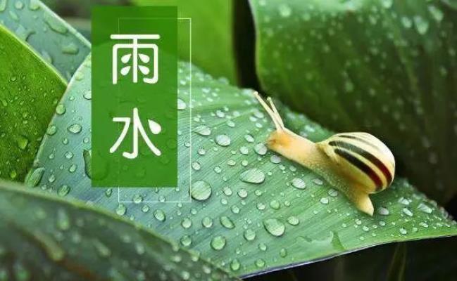 詩友唱和《雨水季節盼雨水》    2025第七輯