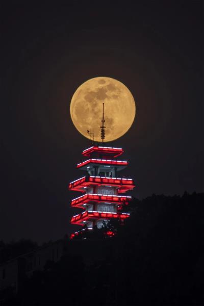 詩(shī)友唱和：《樓頂月亮》 2025 第十七輯