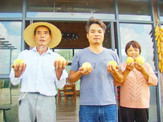 壽縣雙廟集鎮 科技賦能 為冬桃穩產增產上“雙保險”