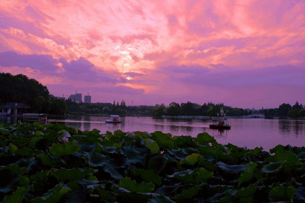 公園美景