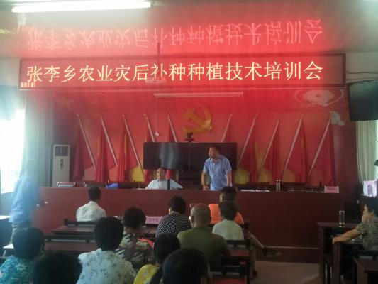 趁時補種力彌災(zāi)