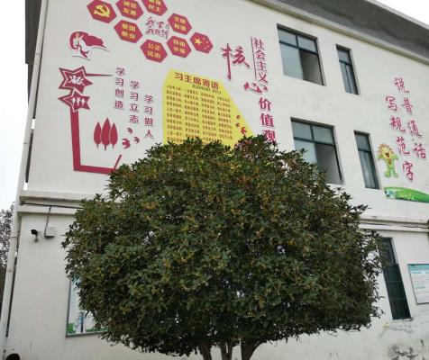 金桂滿枝溢馨香    教研意濃聚一堂