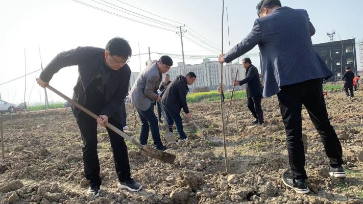 一年之計在于春，植樹添綠正當時