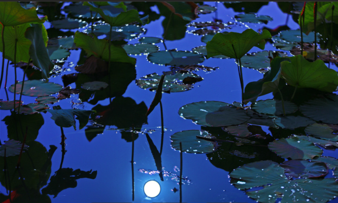 《七夕夜》