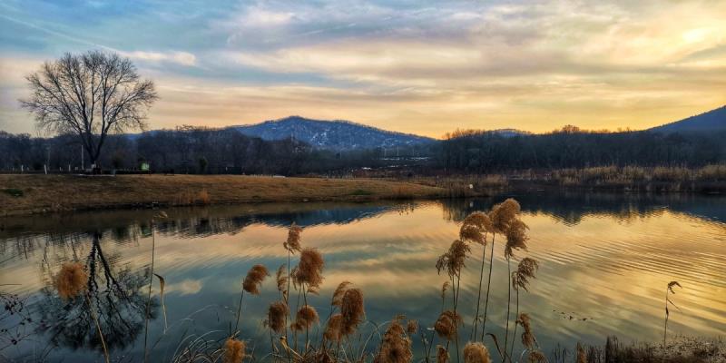 冬日里大通濕地