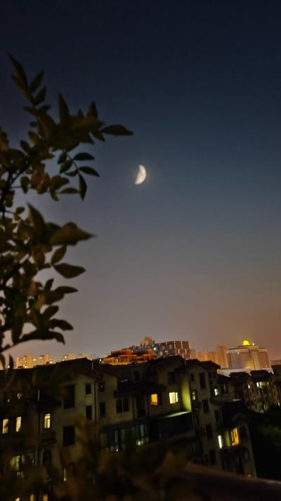 七夕節快樂