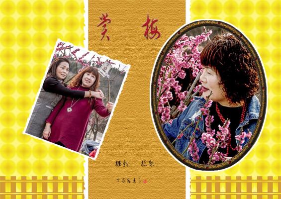 賞梅