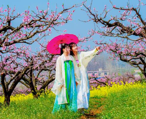 桃花仙子